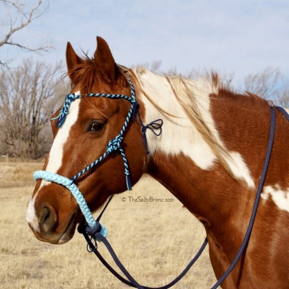 Handmade Soft Cotton Rope Loping Hackamore w/ Braided Headstall & Split Reins - Picture 5 of 12